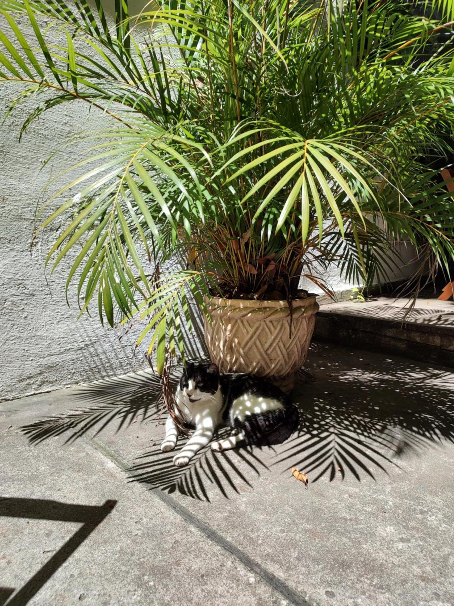 Hospedaria Rio Rio de Janeiro Luaran gambar